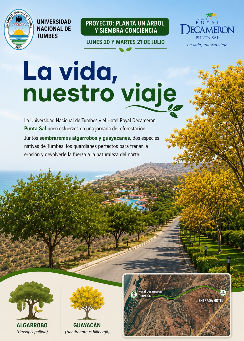 Planta un árbol y siembra conciencia